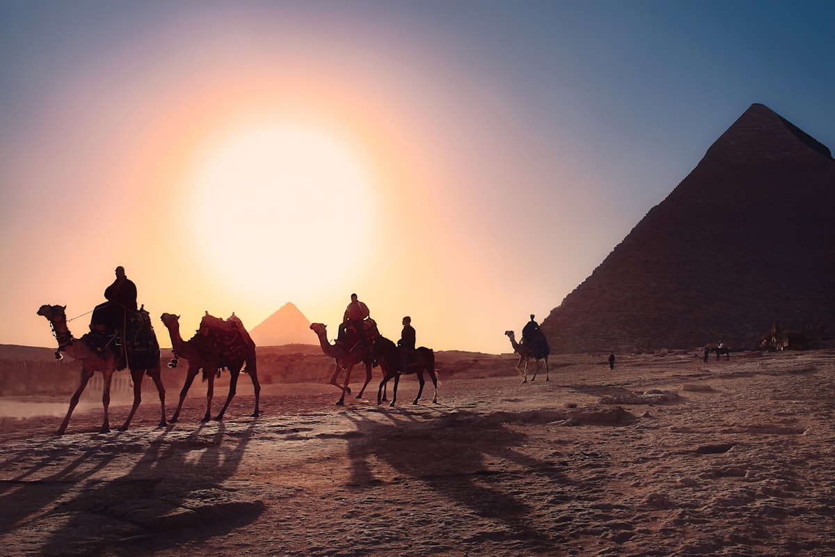 Camellos ante las pirámides al atardecer