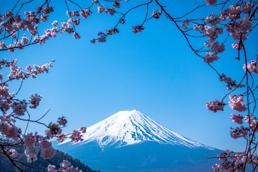 Monte Fuji nevado entre cerezos en flor