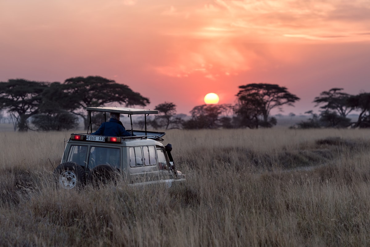 Jeep de safari en la sabana al atardecer, Tanzania